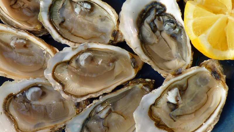 Ostras - Oesters