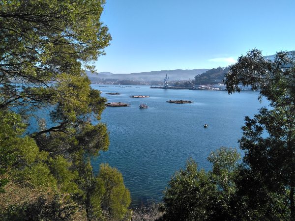 Ria de Vigo, Galicië.