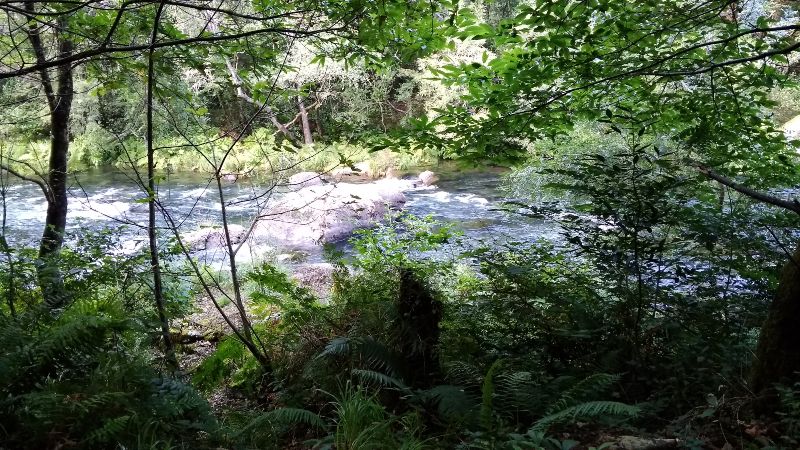 Fragas do Eume, natuurgebied in Galicië